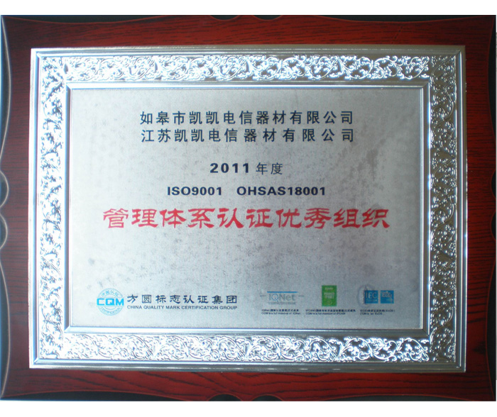 管理體系認證優(yōu)秀企業